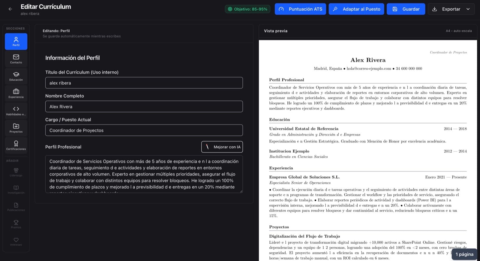 Vista previa del editor de CV